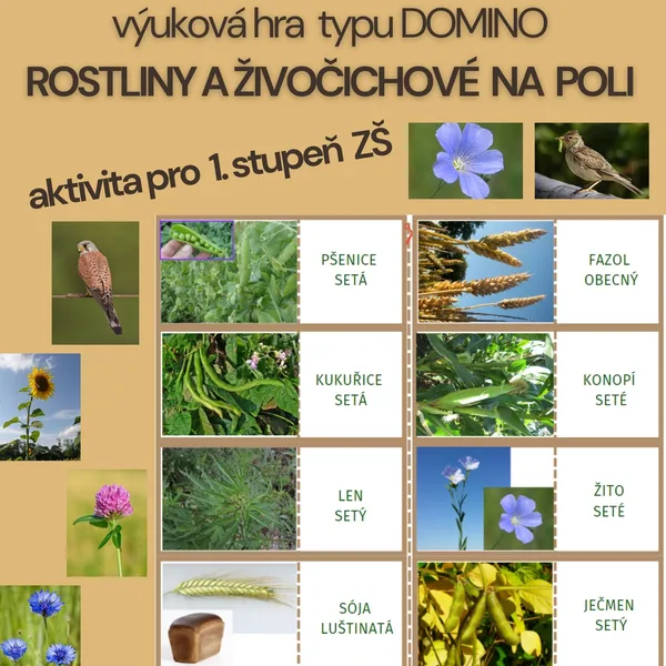 výuková hra DOMINO - ROSTLINY A ŽIVOČICHOVÉ NA POLI 1