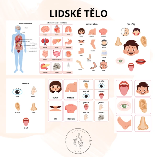 Lidské tělo 1