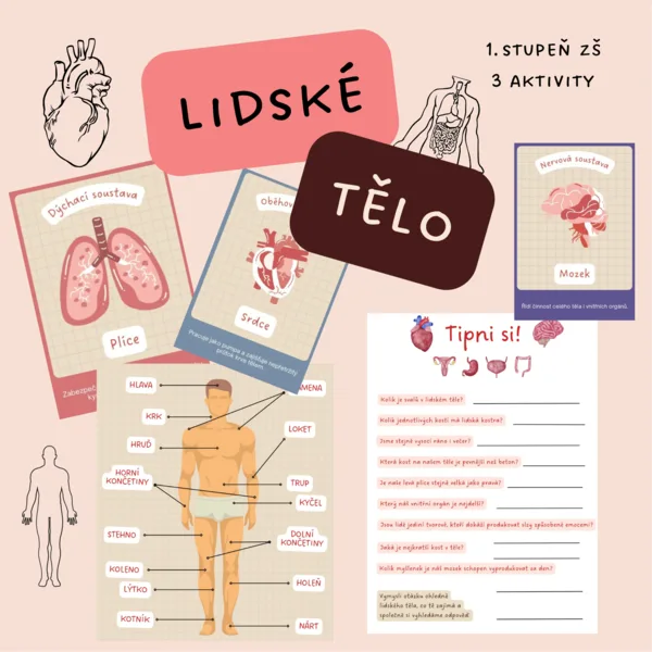 Lidské tělo - karty, popis těla, tipni si! 1