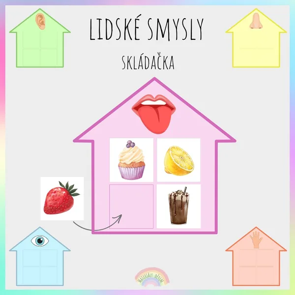 Lidské smysly, skládačka 1