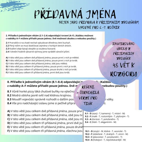 PŘÍDAVNÁ JMÉNA 1