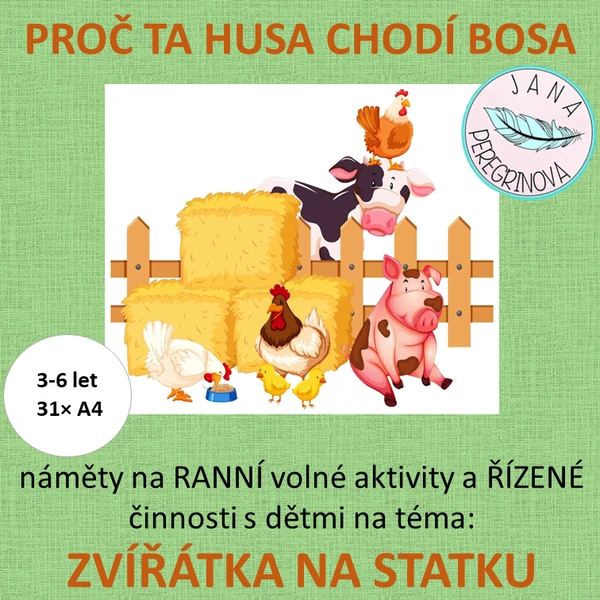 PROČ TA HUSA CHODÍ BOSA- náměty na RANNÍ volné hry a ŘÍZENÉ činnosti/ ZVÍŘÁTKA NA STATKU 1