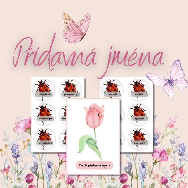 Přídavná jména - berušky. 1