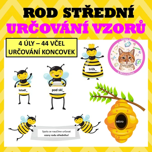 ROD STŘEDNÍ - Určování vzorů 1