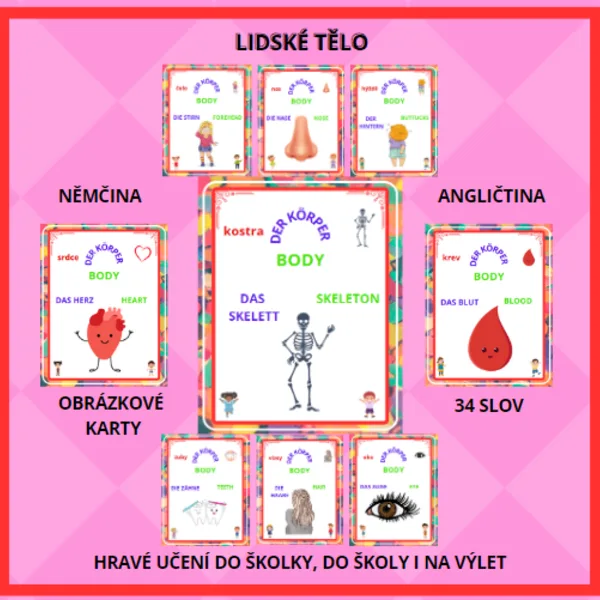 LIDSKÉ TĚLO ANGLICKY A NĚMECKY 1