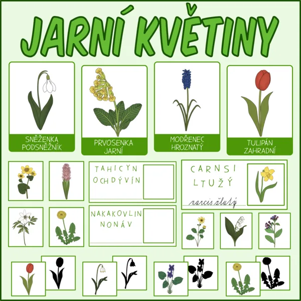 Jarní květiny 1