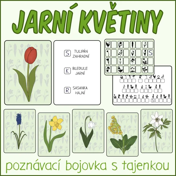 Bojovka - Jarní květiny 1