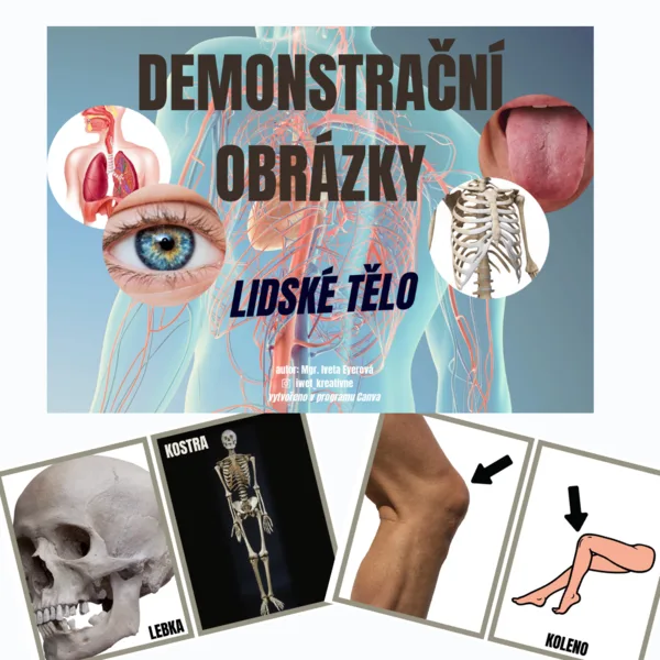 LIDSKÉ TĚLO (demonstrační obrázky) 1