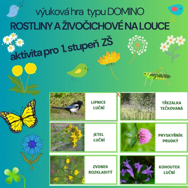 výuková hra typu DOMINO - ROSTLINY A ŽIVOČICHOVÉ NA LOUCE 1