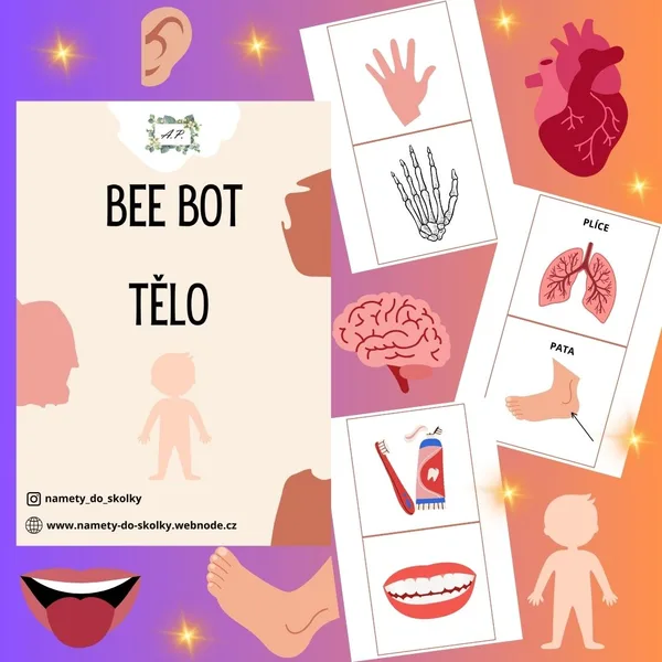 Bee bot - Tělo 1