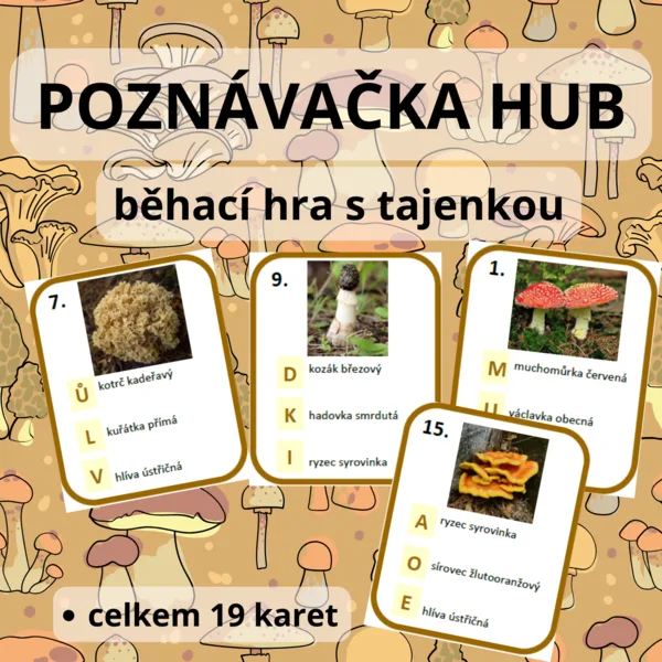 Poznávačka hub - běhací hra s tajenkou 1