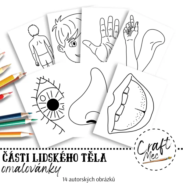 ČÁSTI LIDSKÉHO TĚLA - OMALOVÁNKY 1