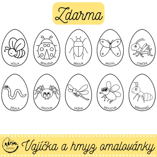 Omalovánky Vajíčka a hmyz ZDARMA 1