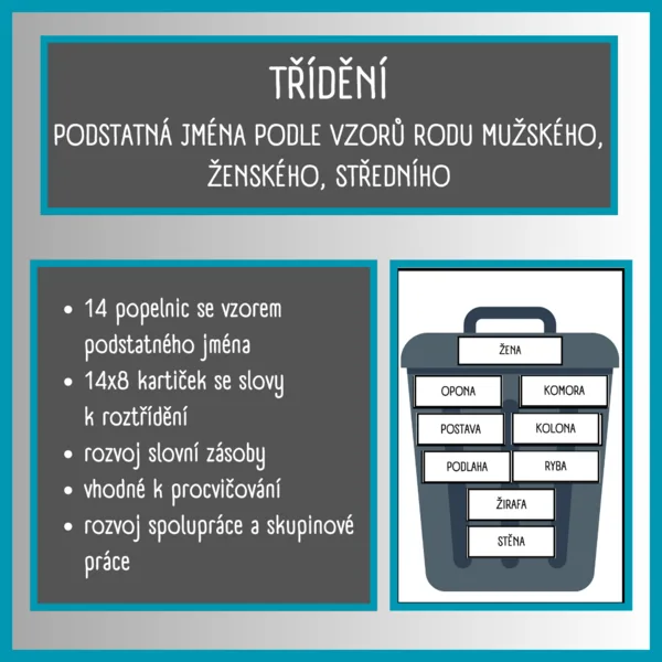 Třídění - podstatná jména podle vzorů rodu mužského, ženského, středního 1