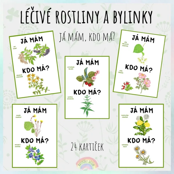 Já mám, kdo má? Léčivé rostliny a bylinky 1
