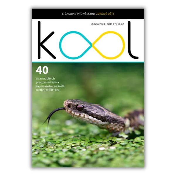 KOOL 04/2024 1