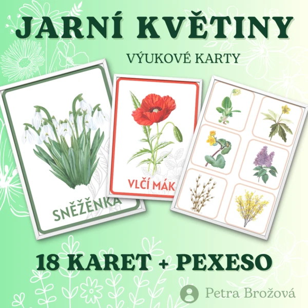 Výukové karty JARNÍ KVĚTINY + pexeso 1