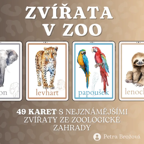 Výukové karty "ZVÍŘATA V ZOO" 1