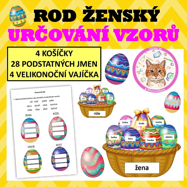 ROD ŽENSKÝ - Určování vzorů 1
