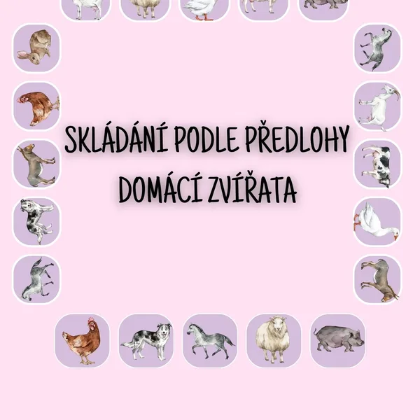 Skládání podle předlohy - domácí zvířata 1