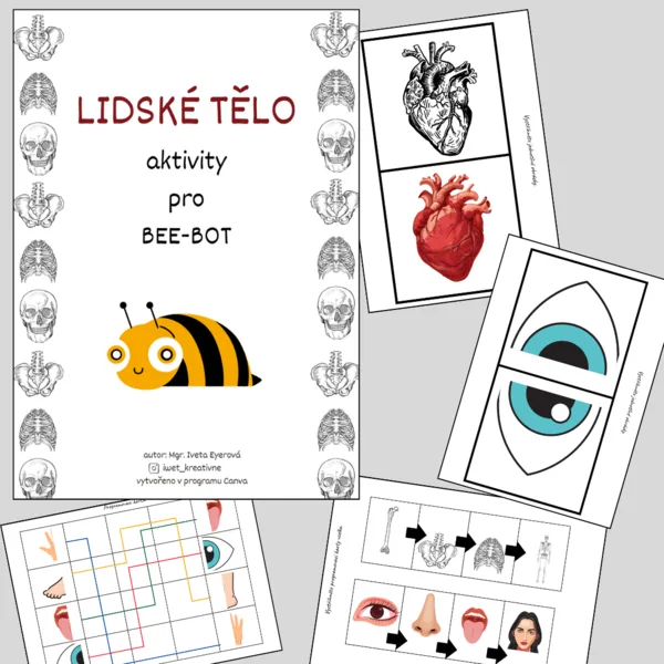 LIDSKÉ TĚLO  BEE-BOT 1