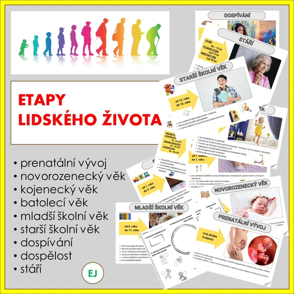 Etapy lidského života 1
