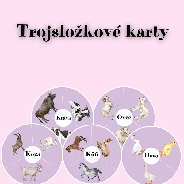 Třísložkové karty - Zvířecí rodiny 1