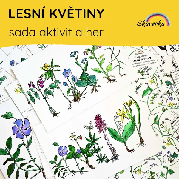 LESNÍ KVĚTINY - sada aktivit a her 1