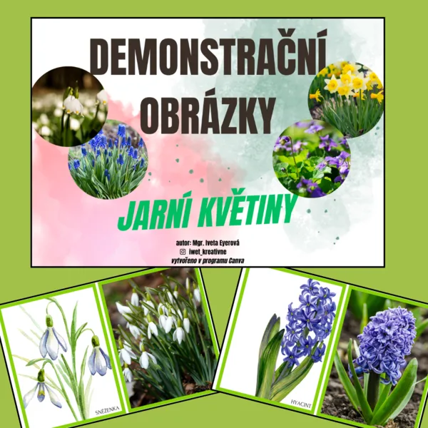 JARNÍ KVĚTINY (demonstrační obrázky) 22 druhů rostlin 1