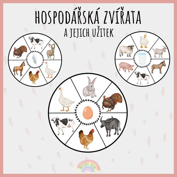 Hospodářská zvířata a jejich užitek 1
