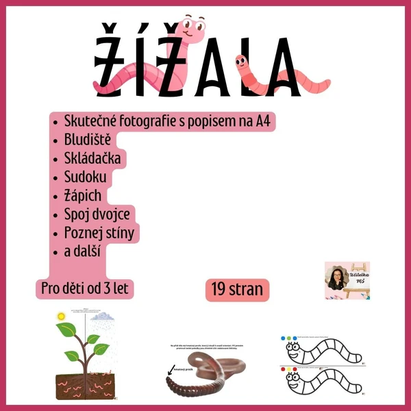 Žížala 1