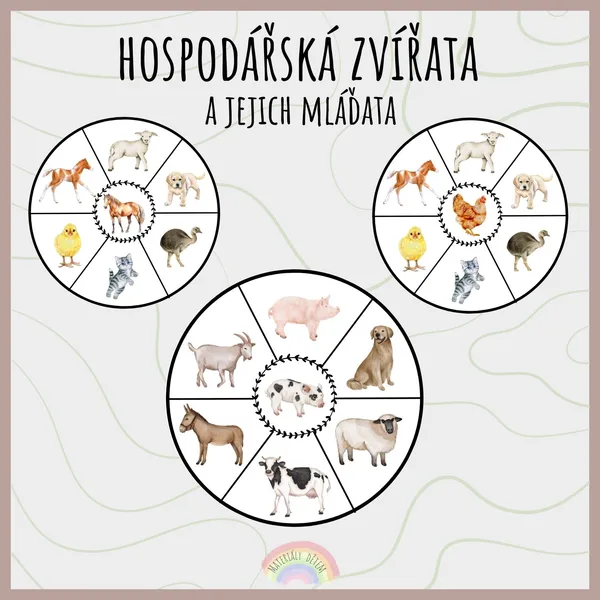 Hospodářská zvířata a jejich mláďata 1