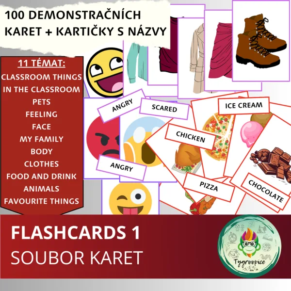 Flashcards 1 1