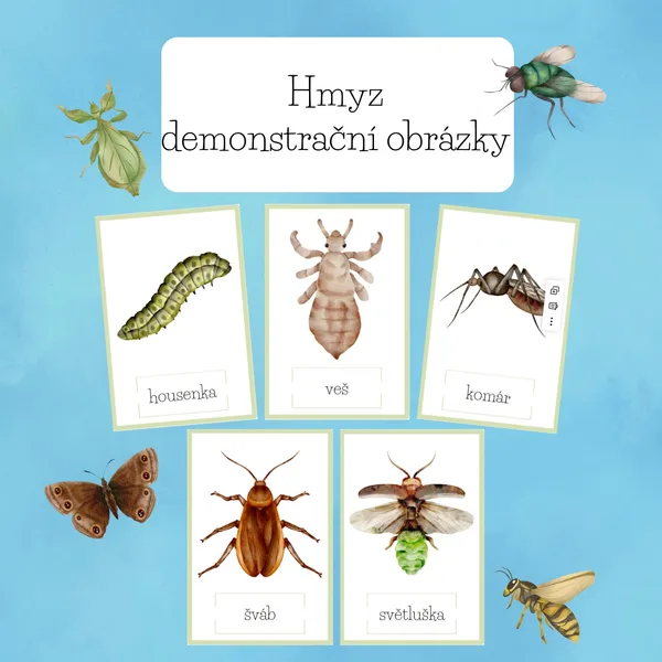 Hmyz demonstrační obrázky 1