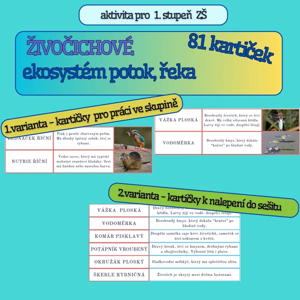 Kartičky ŽIVOČICHOVÉ RYBNÍK/ŘEKA - aktivita pro 1. stupeň ZŠ 1