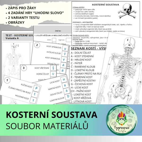 Kosterní soustava - soubor materiálů 1