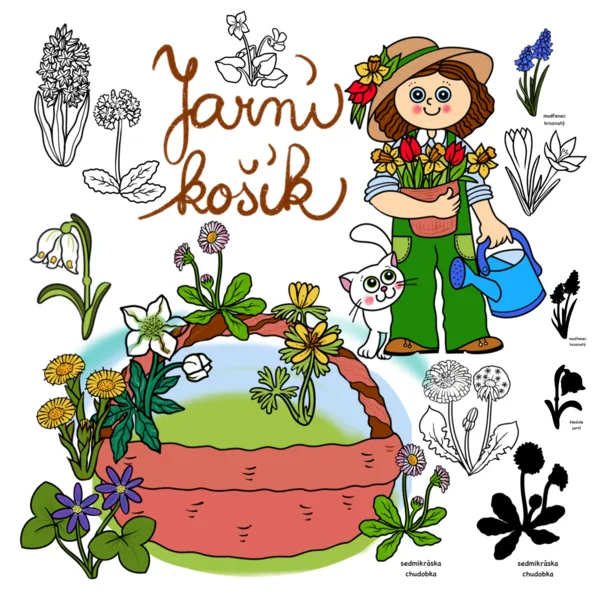 Jarní košík 1
