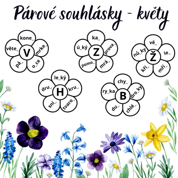 Párové souhlásky - květy 1