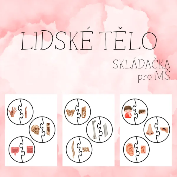 Skládačka - LIDSKÉ TĚLO 1