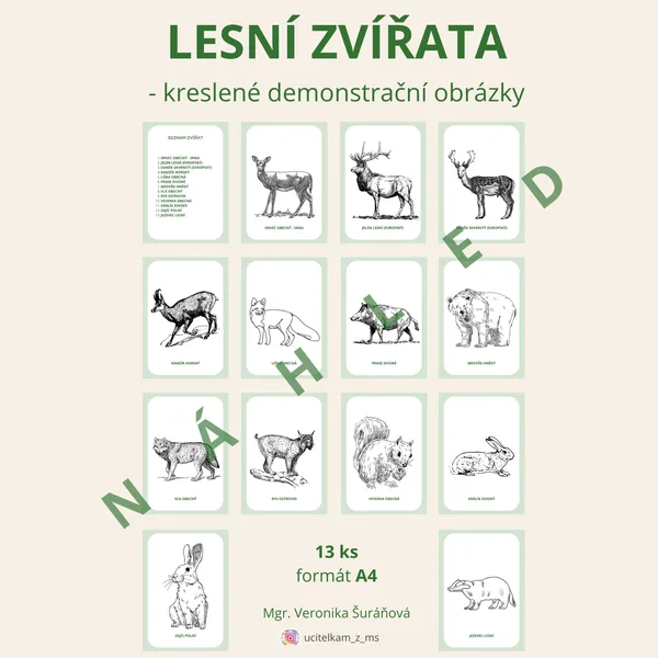 LESNÍ ZVÍŘATA - demonstrační obrázky (omalovánkové) 1