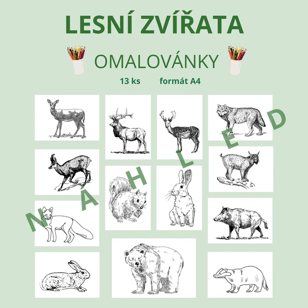 LESNÍ ZVÍŘATA - omalovánky 1