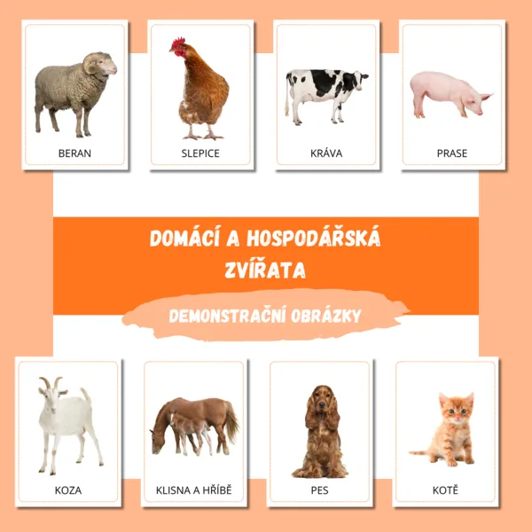 DOMÁCÍ A HOSPODÁŘSKÁ ZVÍŘATA - demonstrační obrázky 1