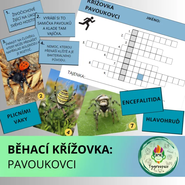 Běhací křížovka - pavoukovci 1