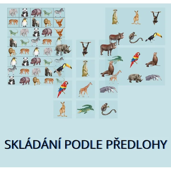 Skládání podle předlohy - ZOO 1