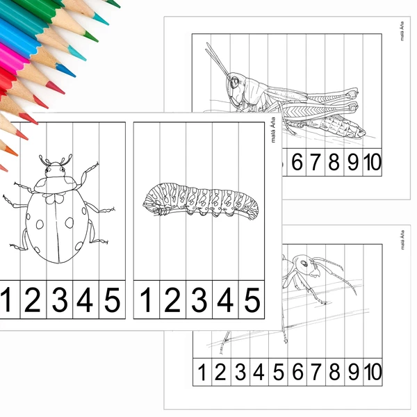 PUZZLE PROUŽKY - HMYZ 1