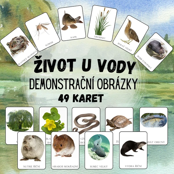 Život u vody, zvířata, rostliny - DEMONSTRAČNÍ OBRÁZKY 1