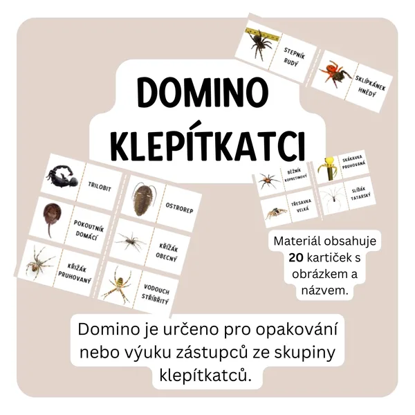 Domino klepítkatci 1