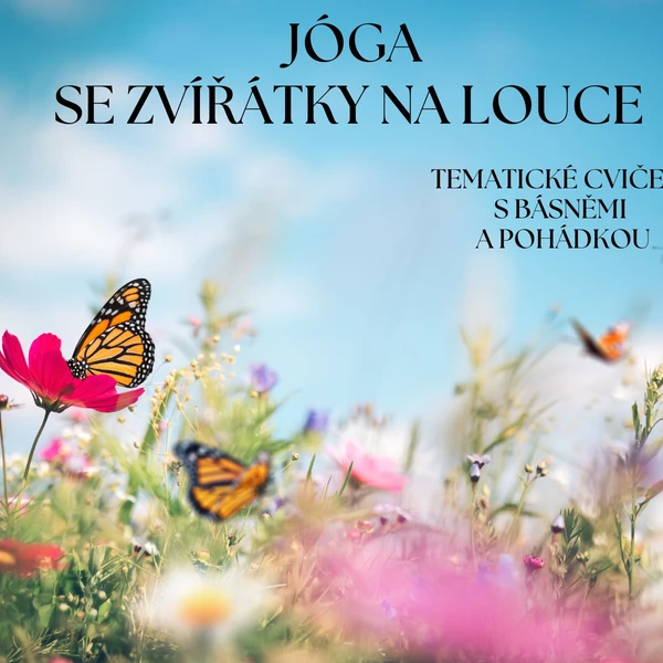 Jóga se zvířátky na louce 1