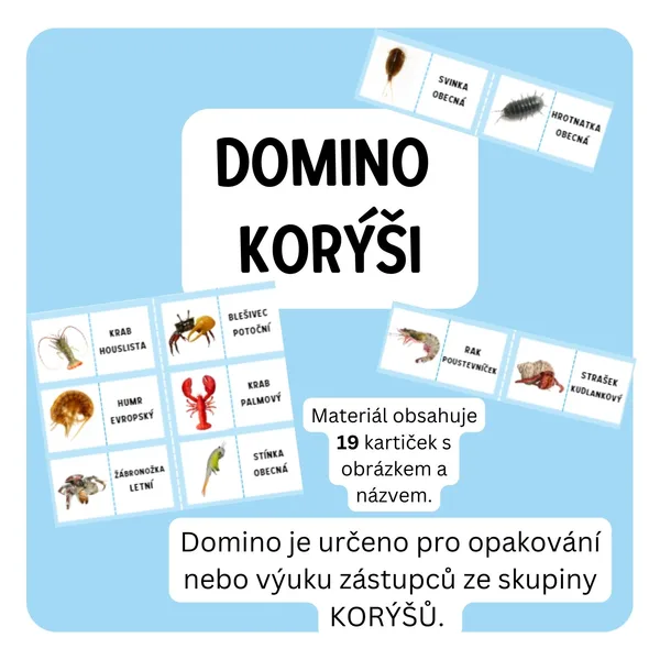 Domino korýši 1