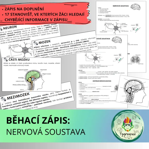 Běhací zápis: nervová soustava 1